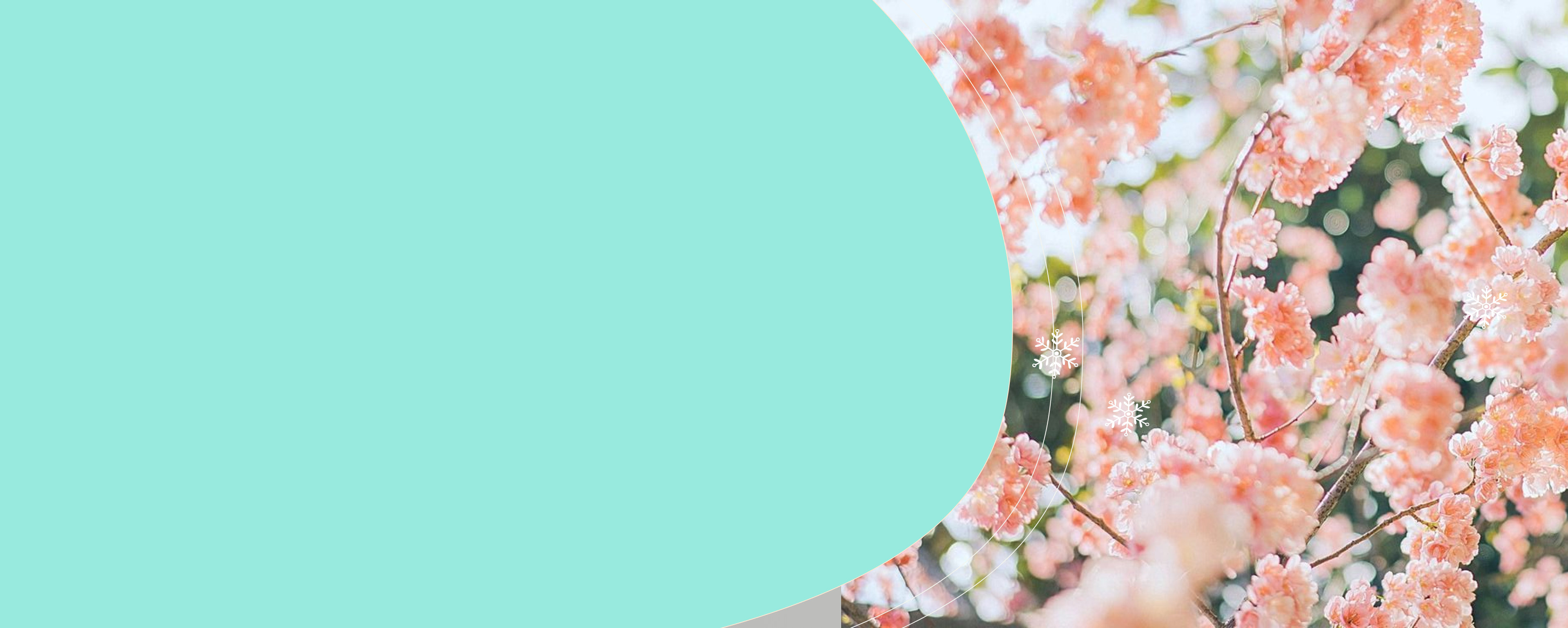 Sconti di primavera 🌺